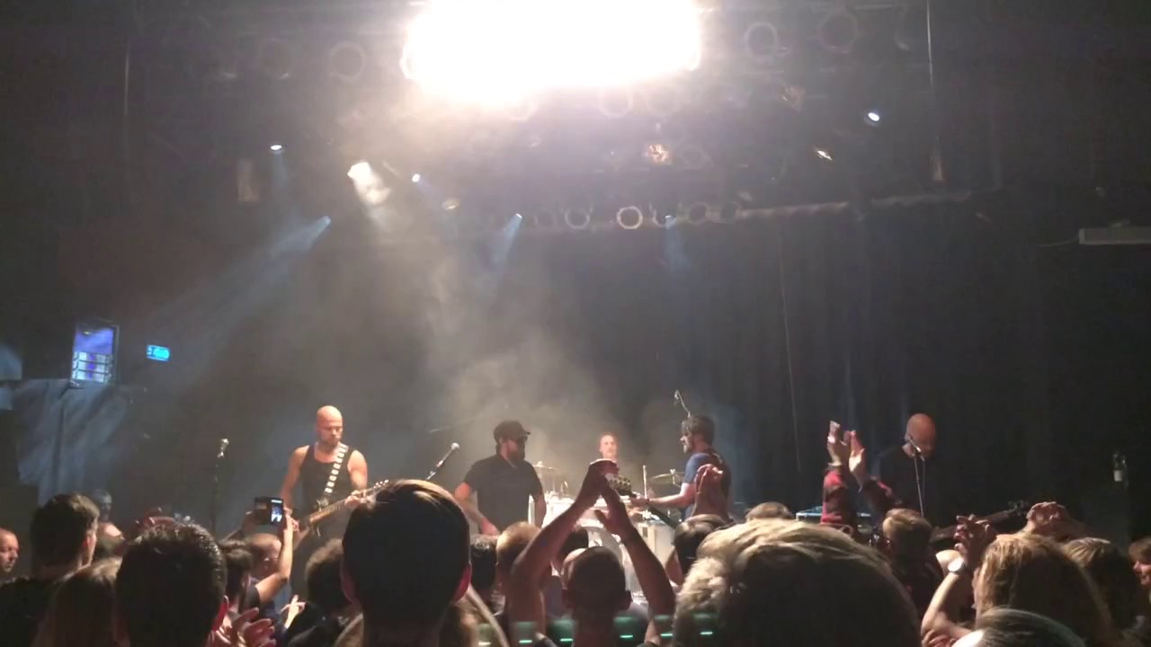 Selfmindead - Freedom, live at Brainstorm Festival 2016