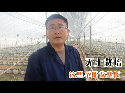 苗の肥料でよくある6つの失敗——これを避ければ苗が強く育つ