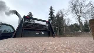 12Mm P Pump 24V Mins Cold Start Colt Stage 3 Cam