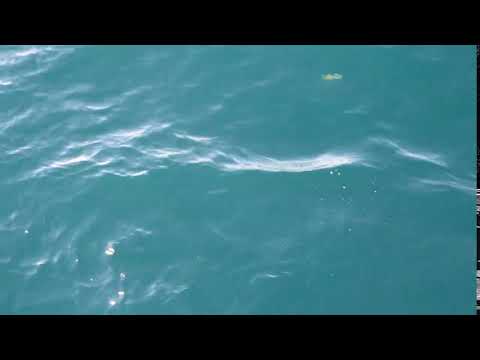 Methane bubbles spotted at the surface of the North Sea from the RV Pelagia