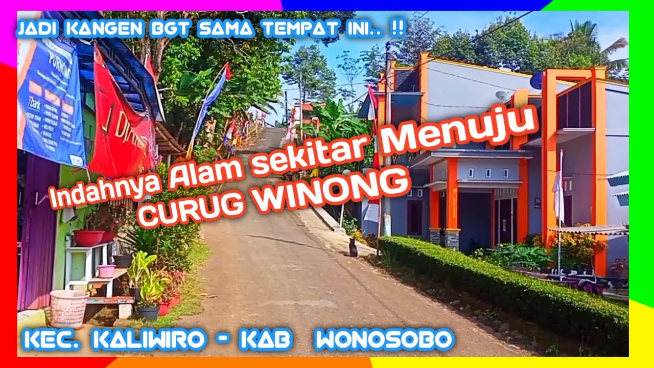 🔴CURUG WINONG Suasana Jalan disekitarnya bikin KANGEN !  Winongsari ( Kaliwiro - Wonosobo )