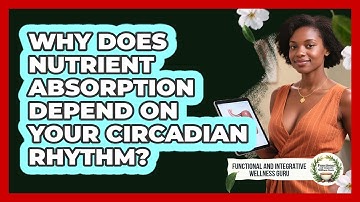 Why Does Nutrient Absorption Depend On Your Circadian Rhythm?