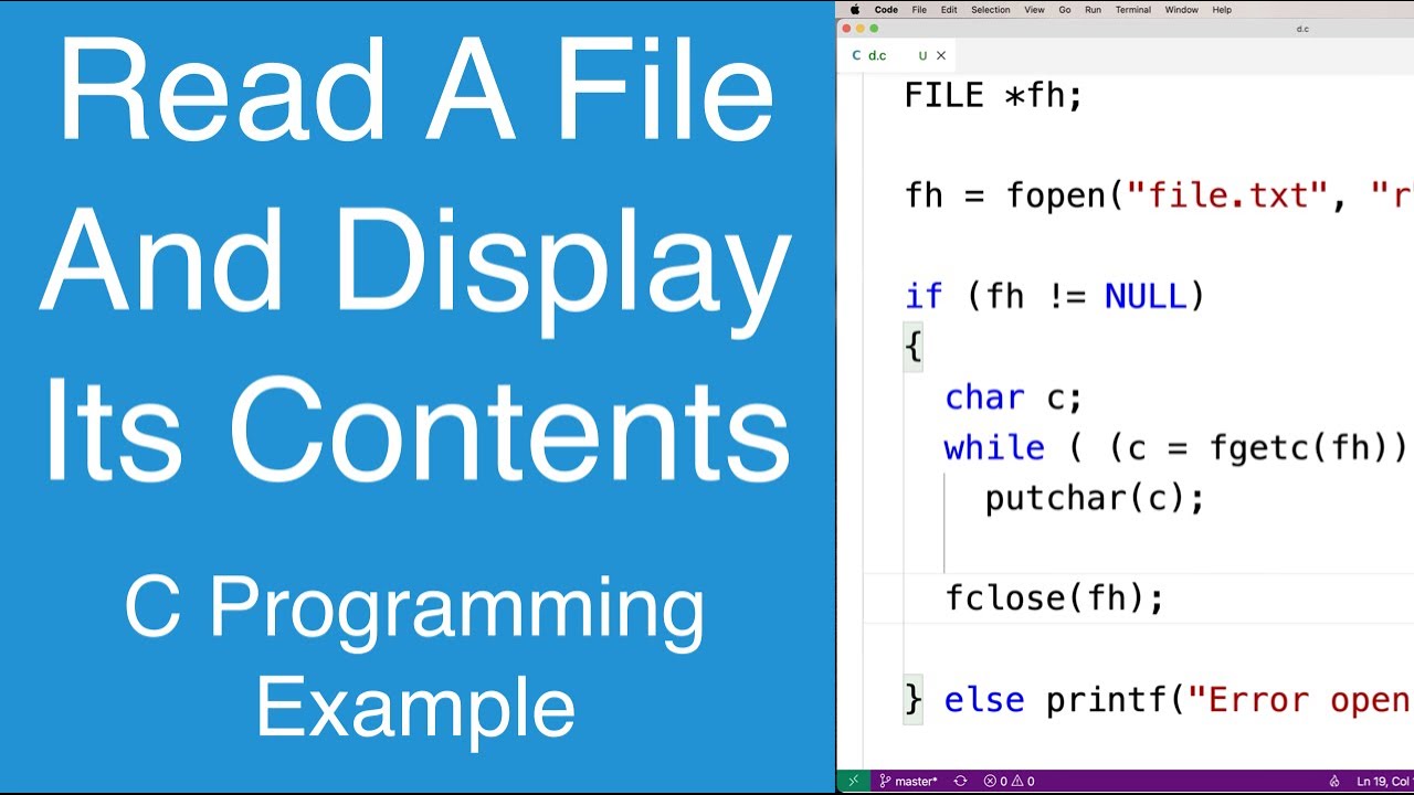 Read A File And Display Its Contents  C Programming Example