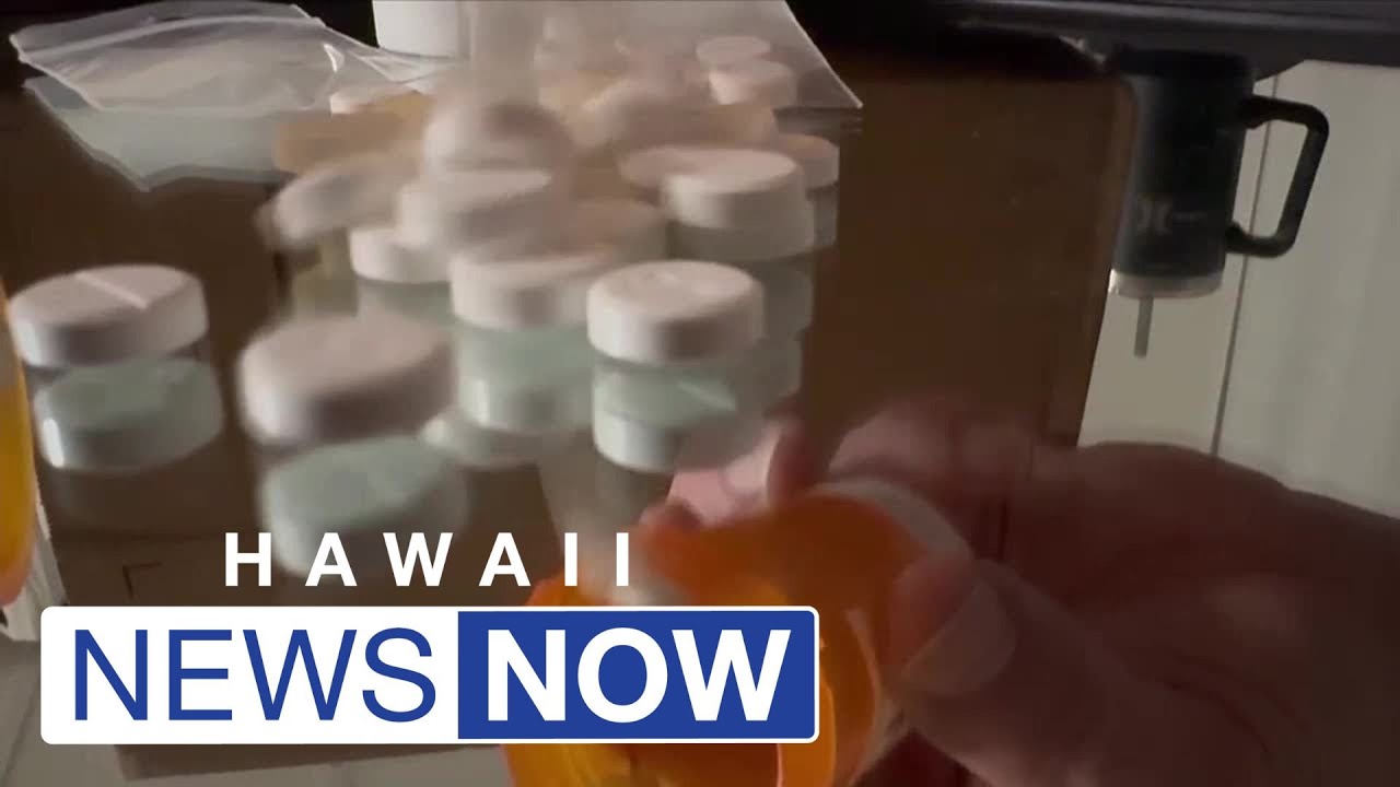 Illegal Drugs Are Getting Smuggled Into Hawaii In Record Numbers Here illegal-drugs-are-getting-smuggled-into-hawaii-in-record-numbers-here