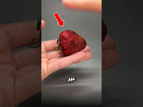 حيوانات تبدو غير مرئية