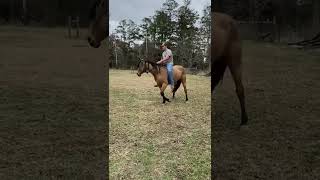 Little Girl In A Halter