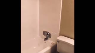 3 Bed 2 Bath 1320sqft
