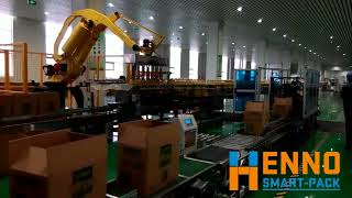 Jar bottle fanuc robotic case packer