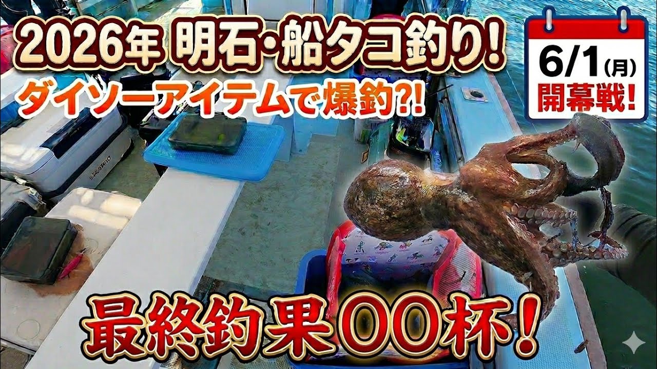 明石タコ2026開幕】コスパ最強のダイソーエギ＆タコジグで！江井ヶ島