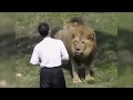When Zoo Animals Attack Compilation Part 1