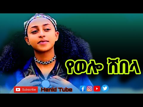 Mizanu Yeshambel Yewolo Shebela Official Video ሚዛኑ የሻምበል New Wolo Ethiopian Best Wolo