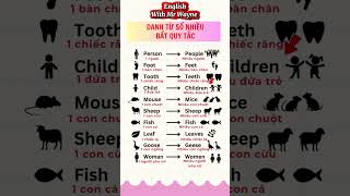 Irregular Nouns #englishwithmrwayne #hoctienganh #irregularnouns #nouns #vocabulary #tienganhchotre