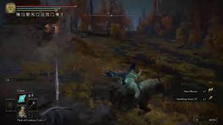 #Elden Ring|Shadow of The erdtree NG+ beginning @garyghostbuster2219
