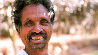 Sunmor Pictures Showreel - Documentaries