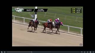 Horse Racing: Future Fortune Wins Race 1 At Tampa Bay Downs Fri. Mar. 7, 2025