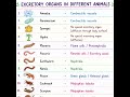 Excretory organs in different animals #uptgtbiology #pgt #nvs #kvs
