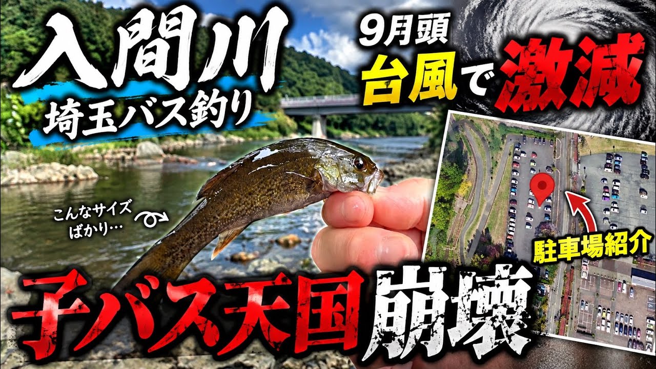 Saitama Bass Fishing] September at Iruma River's 