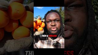 The World’s Most Common Fruit You Can’t Buy