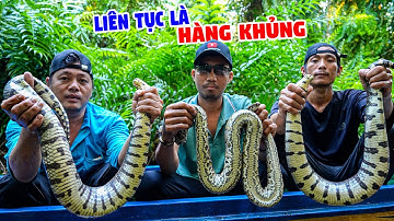 Đi sâu Vào Rừng Thăm Lợp - Ký Sự Rừng Già U Minh - Tập 26