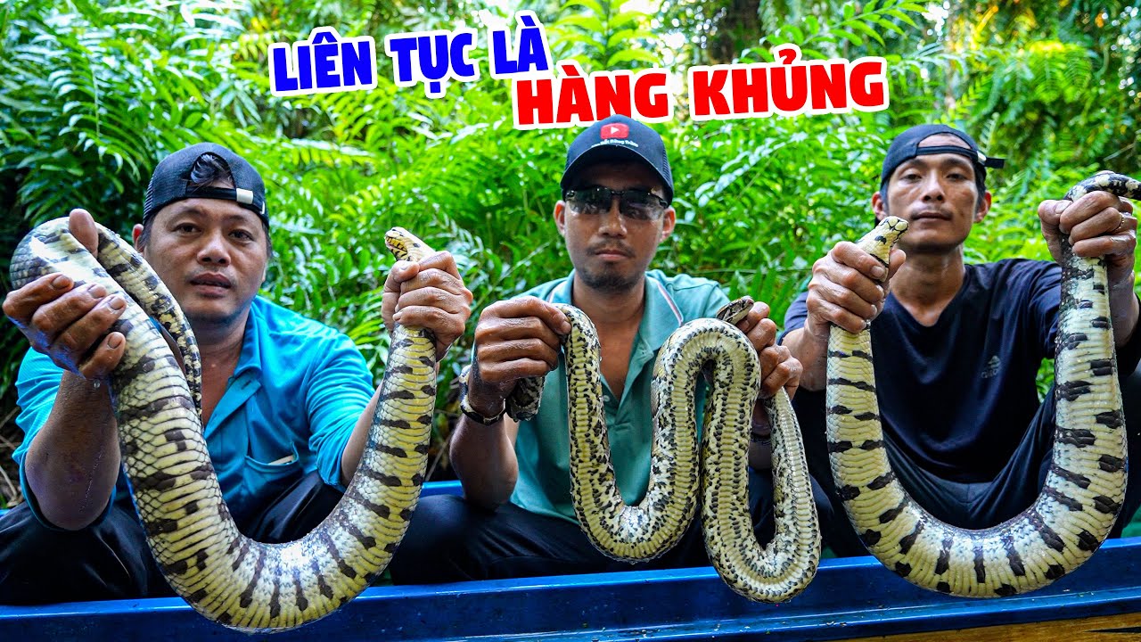 Đi sâu Vào Rừng Thăm Lợp - Ký Sự Rừng Già U Minh - Tập 26