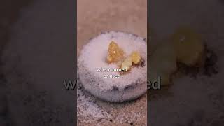 Why did the wise men bring frankincense and myrrh to the Christ child?