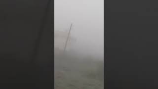 short video#shera #like #subscribe #comment