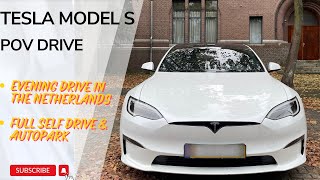 Pov Drive Tesla Model S Palladium - Nighttime Luxury Driving Experience