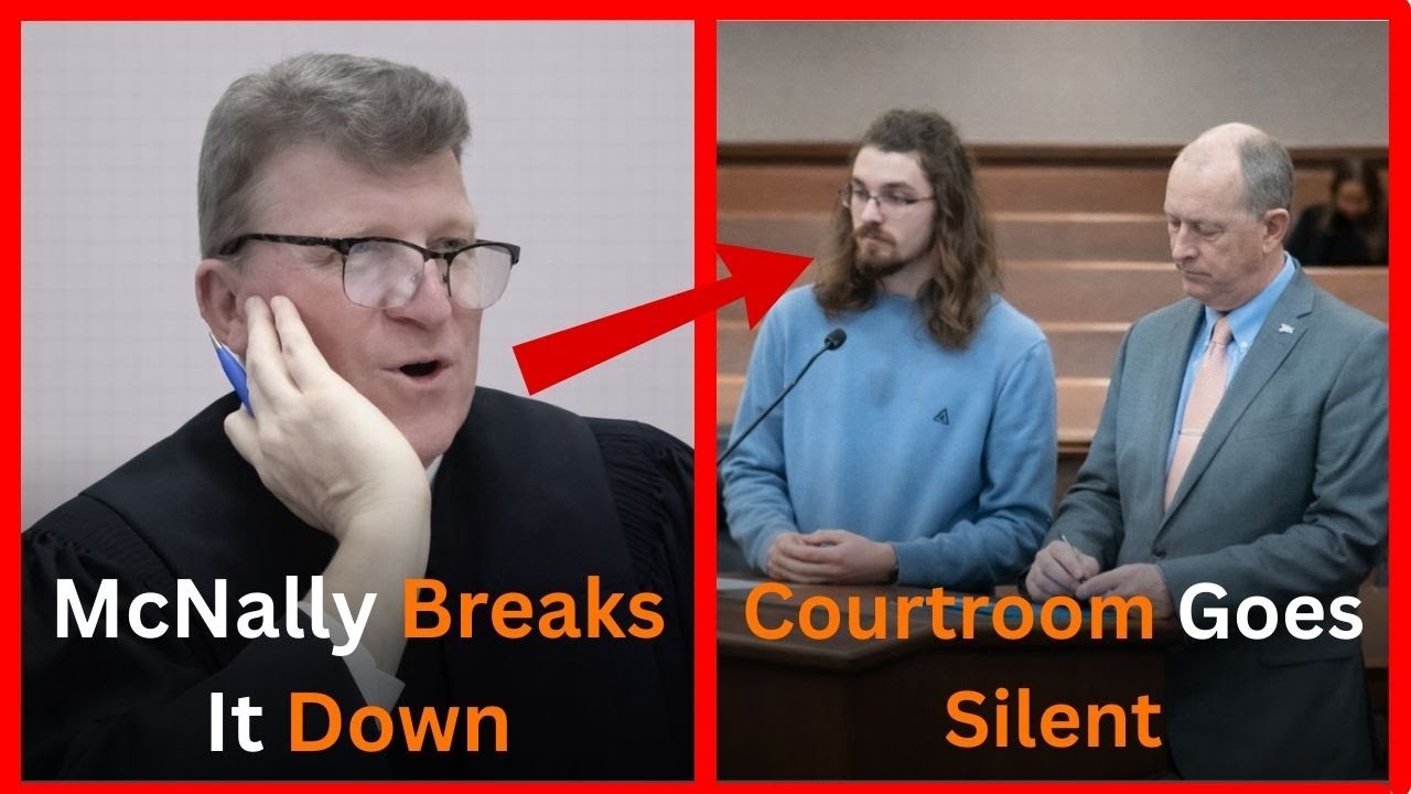 😳 “Courtroom Goes Silent as Judge McNally Unravels Bizarre Allegations!”