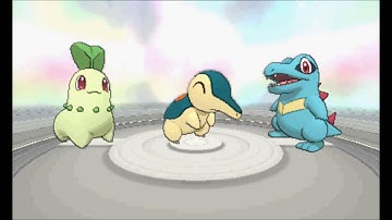 Pokemon Omega Ruby/Alpha Sapphire - Walkthrough Part 20 - Battle Resort