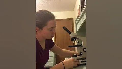 Microscope Competency #1 Lyndsi Martin