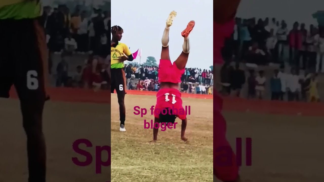 alosen विदेशी plyer और parimol का dance 