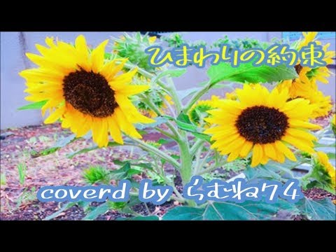 【低音女子】秦基博　「ひまわりの約束」　cover by らむね74 【原曲キーで歌ってみた】