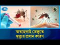 থামছে না ডেঙ্গুতে আক্রান্ত হয়ে মৃ/ত্যু, চলতি বছর এখন পর্যন্ত মা/রা গেছে ২০২ জন | Rtv News