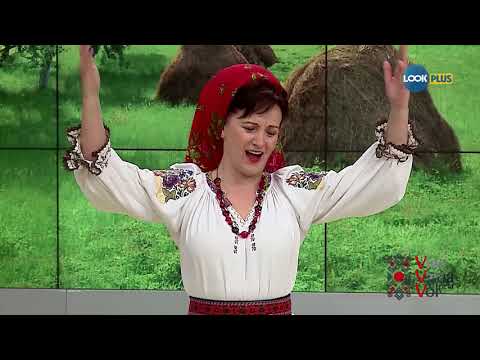 Ficiorii de pe Bargau