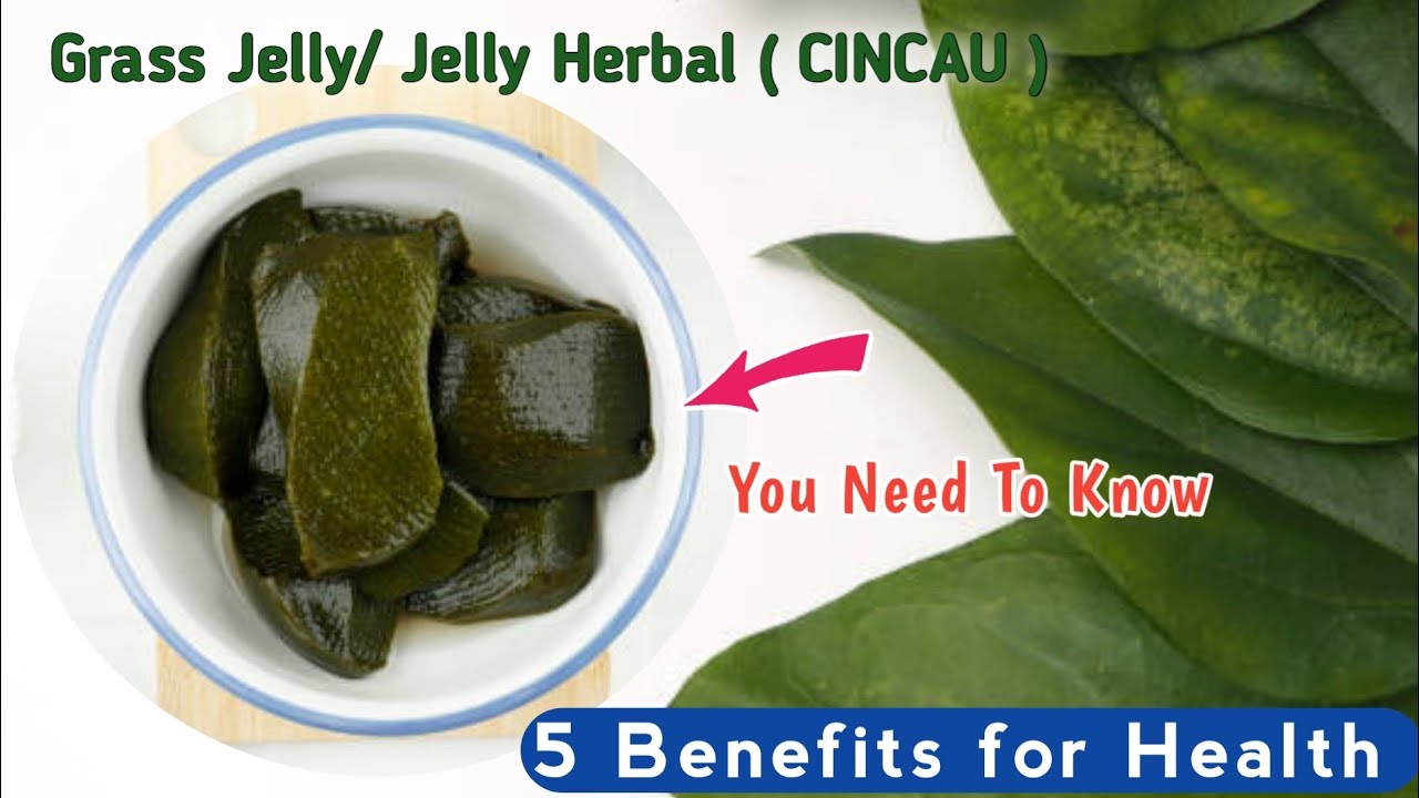 5-benefits-of-grass-jelly-cincau-for-health-youtube