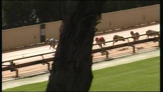 HVL SUN 28 MAY 17 R9