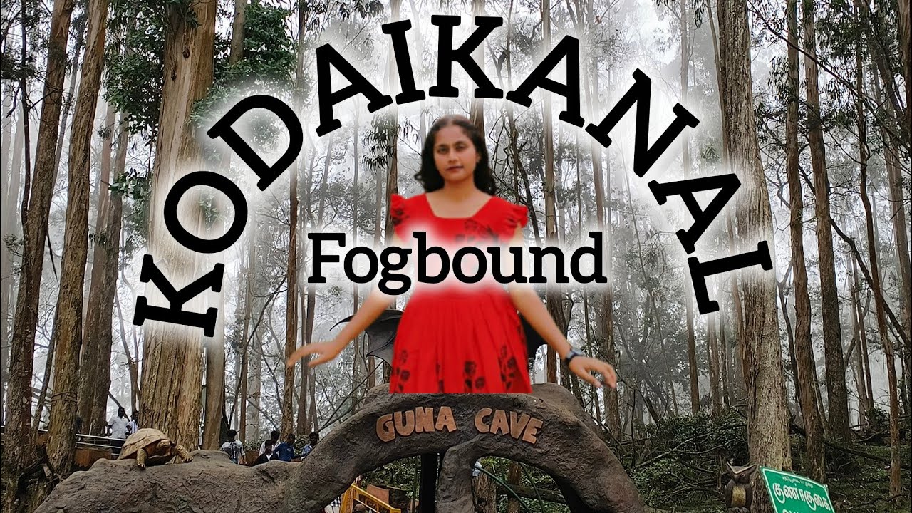 Kodaikanal Trip| Peaceful Stay| Foggy Climate|