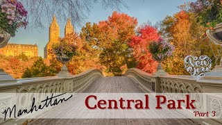 [4K] 🇺🇸Walking Manhattan: 🍂Foliage in Central Park Part 3🍂🍂 November 2021