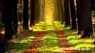 Jim Yosef - Zoom [1 HOUR VERSION]