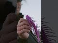 DSTYLE 2024 New Product 新素材への挑戦【DURAVITY】part2