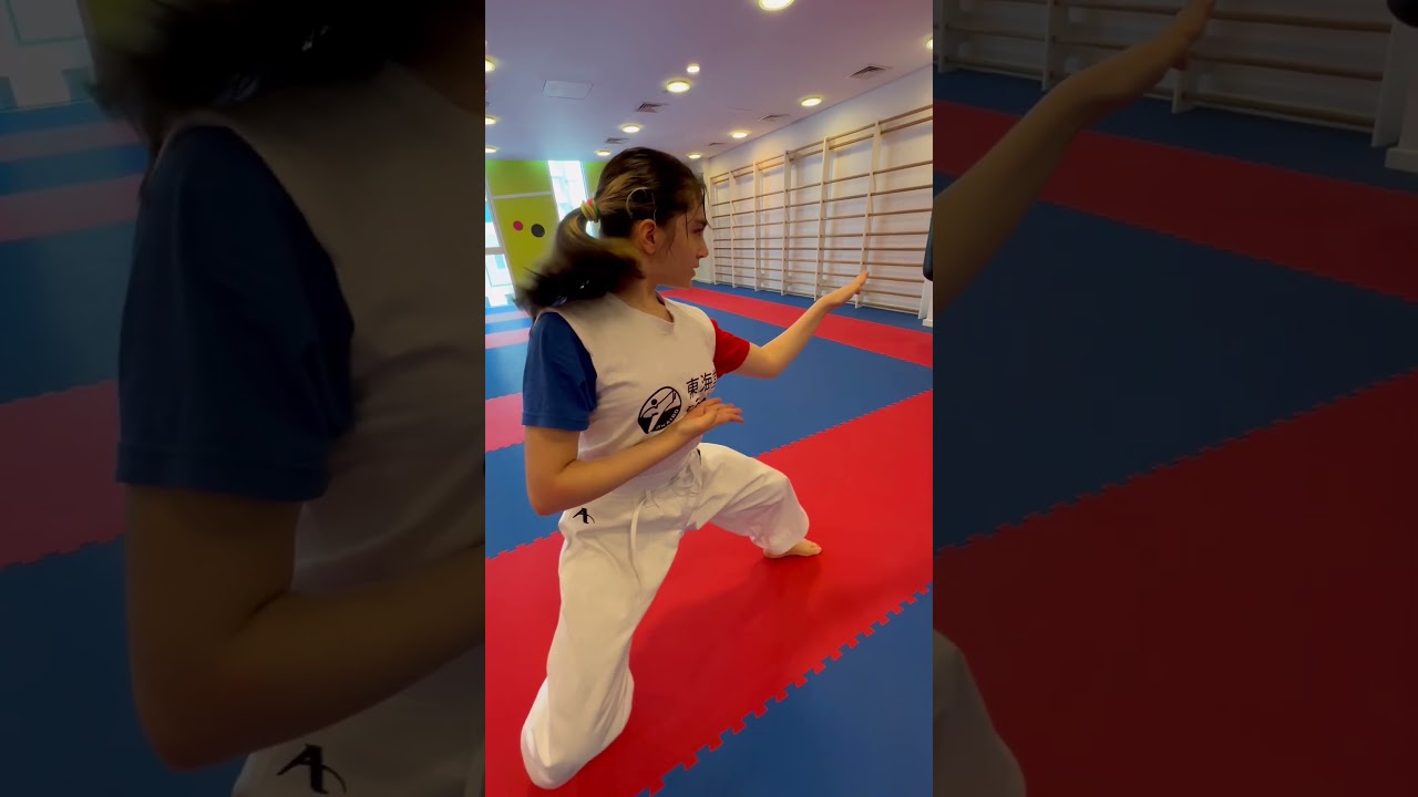 Karate kata kankudai performance Anil Shariatpanahi WKF champion 