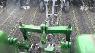Active Implement Guidance Cultivating Beans with ProTrakker and Sonic