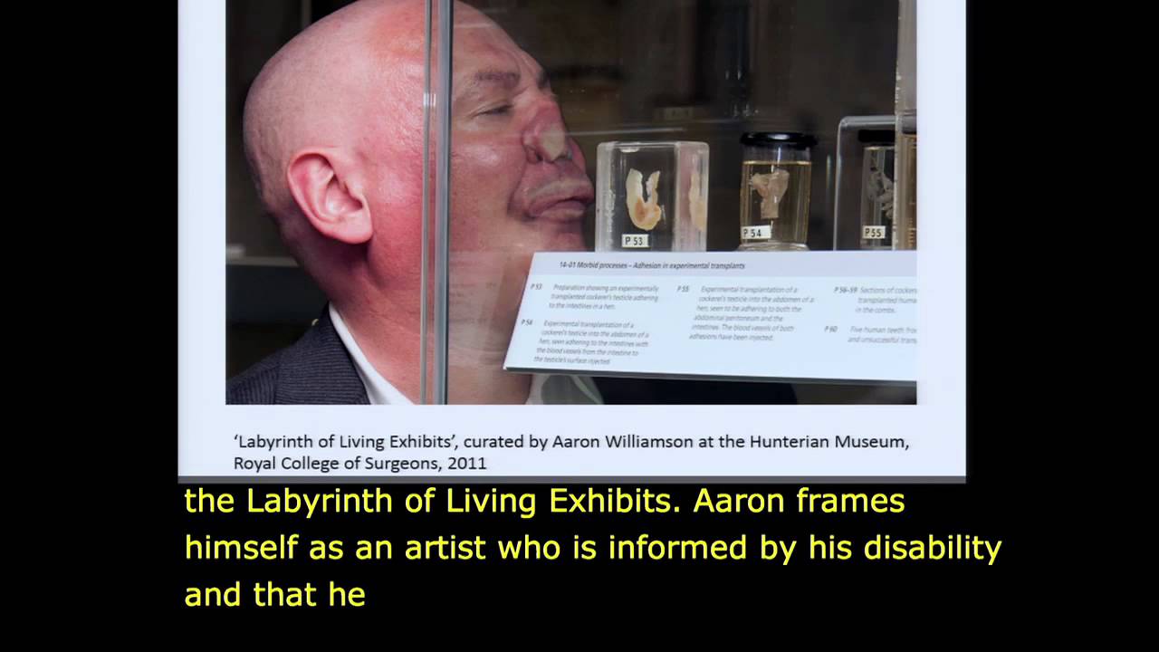 Gill Nicol - Making Contemporary Arts Accessible at Awkward Bastards symposium