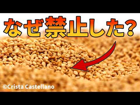 キヌア栽培の失敗しないコツ：プロが教える実践的な育て方