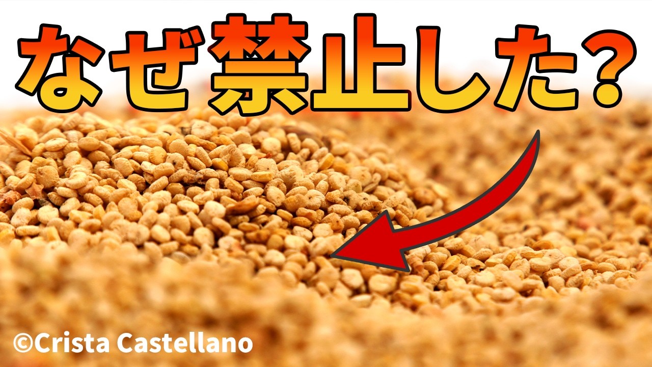 丈夫で栄養豊富な古代作物キヌアが栽培を禁じられた理由【生物解説】