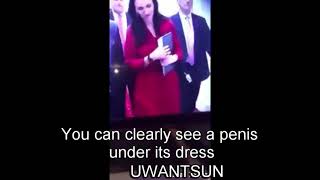 Jacinda Ardern Tranny Witch