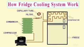 Fridge cooling system diagram  | Refrigerator cooling system