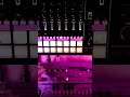 MC707, td-3, Plasma Pedal, H9 | Dj Scale Ripper - 'Acid Transition'