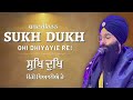 NEW Sukh Dukh ਸੁਖਿ ਦੁਖਿ सुख दुःख Mp3 Song