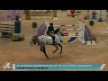 Alexanders Horseboxes 1.45m big tour (First Round)